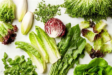 The Ultimate Guide To Lettuce And Salad Green Varieties