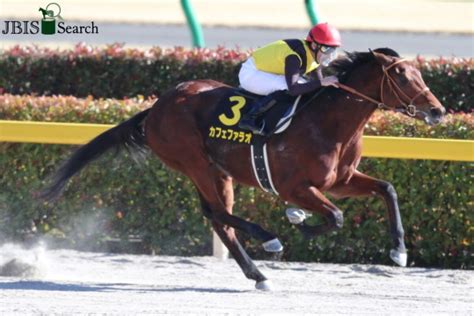 Jra フェブラリーs（g1）敵は「身内」にあり 1番人気が予想されるカフェファラオ、堀宣行厩舎の気になる「芝高ダ低」 Gj