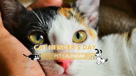 Pet Calendar: Cat Herder's Day - Positively Woof