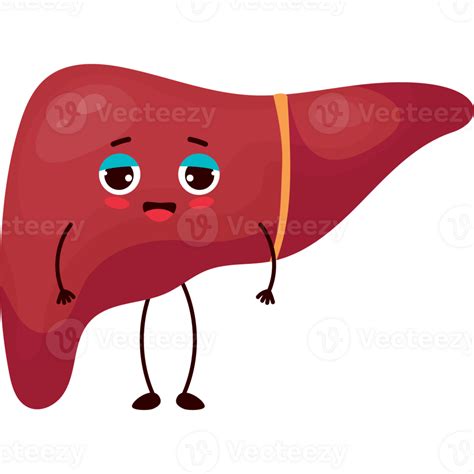 Happy Cartoon Liver 23254406 Png