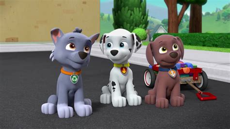 Watch Paw Patrol Season 4 Episode 38 Pups Save The Shivering Sheep Watch Full Episode Online