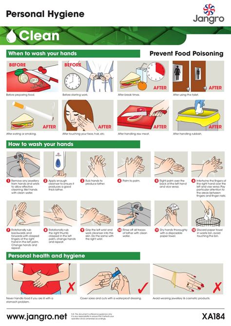 Personal Hygiene Wall Chart A3 - PPS LTD