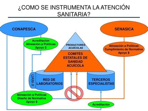 Ppt Programa Nacional De Sanidad Acu Cola Powerpoint Presentation