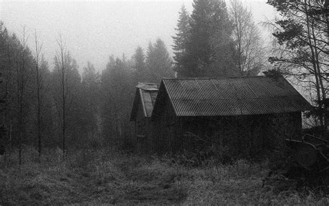 Fondos De Pantalla Luz De Sol Paisaje Bosque Monocromo Cielo