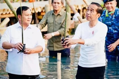 Jokowi Dinilai Cenderung Suarakan Prabowo Begini Tanggapan Pakar