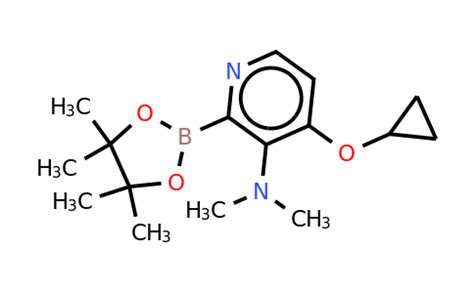 Cyclopropoxy N N Dimethyl Tetramethyl Dioxaborolan