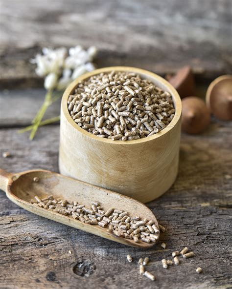 Psyllium Seed Husks In Three Variants Blue Hors