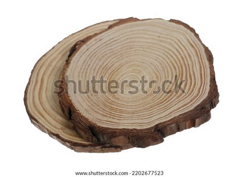 Cross Section Tree Trunks Stumps Isolated Stock Photo 2202677523