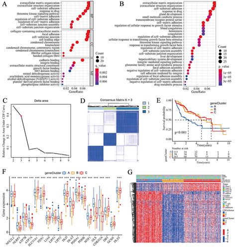 Identification Of Gene Subtypes Based On Degs A B Go And Kegg Download Scientific Diagram