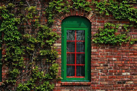 Green Window Frame Photograph By Richard Gregurich