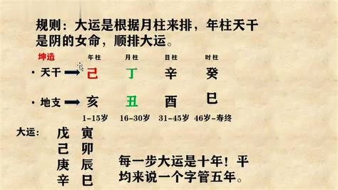 黄离论易和你一起学八字，第9课，零基础，轻松学会八字！高清1080p在线观看平台腾讯视频