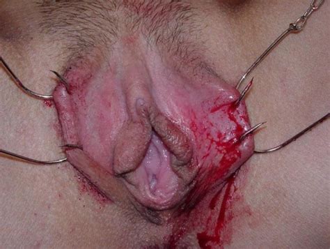 Pussymodsgalore Bdsm Hooked Outer Labia Porn Photo Pics