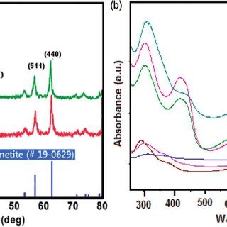 SEM Images Of PANI Fe 3 O 4 NPs With A 1 5 B 1 4 C 1 3 D 1 2