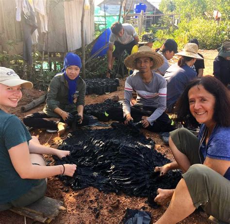 Mangrove Environmental Conservation Supporter Volunteer In Cambodia 2024