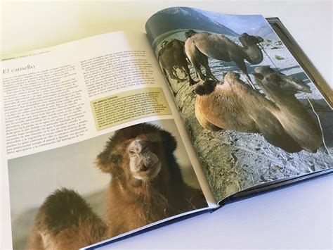 National Geographic Enciclopedia De Los Animales Mamíferos Iv Listings