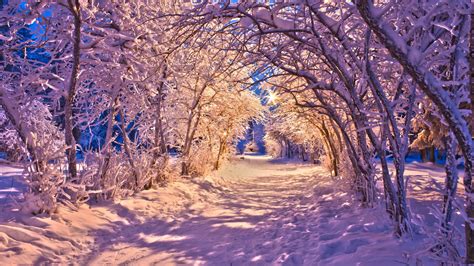 HD Nature Landscapes Winter Snow Christmas Sidewalk Roads Lights White ...