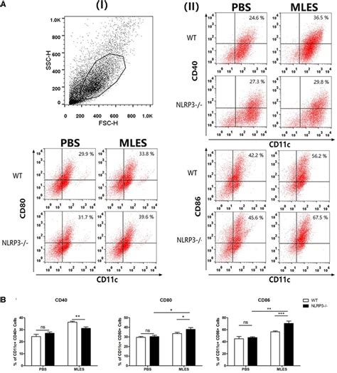 The Expression Of CD40 CD80 And CD86 On DCs Wild Type WT And NLRP3