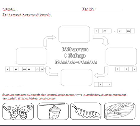 Belajar Sains Kitaran Hidup Haiwan Lembaran Kerja