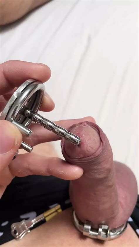 Putting On My New Ball Inverted Chastity Cage Gay Penis Ring Porn Xhamster