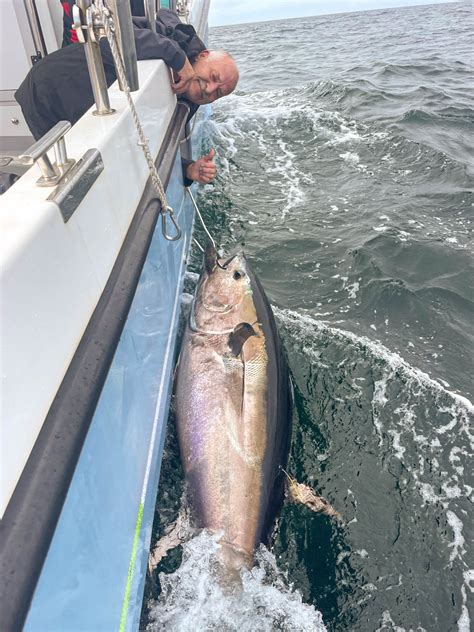 Bluefin Charters - Bluefin Tuna Fishing