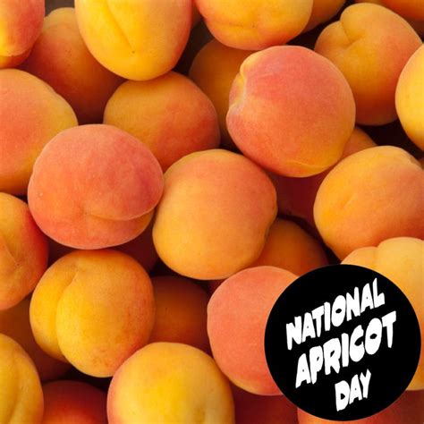 National Apricot Day - January 9, 2020 | Apricot, Fruit, Food