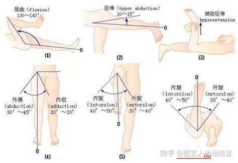 进阶必读 髋关节撞击综合征令人头疼的胯骨轴子 知乎