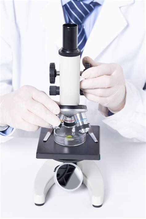 Vertical Shot Of A Scientist Examining Leaves Under A Microscope In A