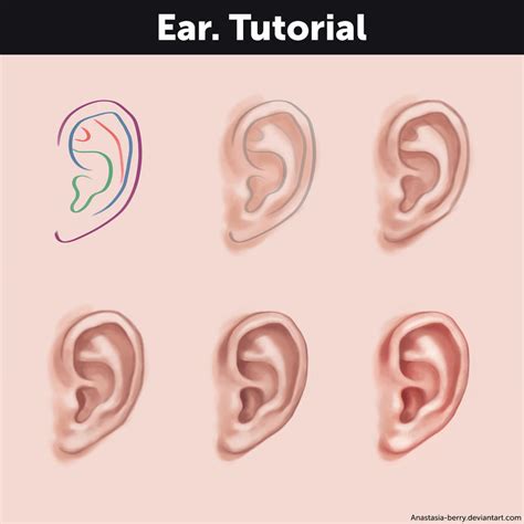 Ear Tutorial By Anastasia Berry On Deviantart