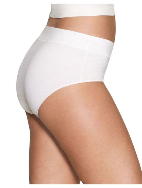 Buy Hanes X Temp Constant Comfort Womens Modern Brief Panties 4 Pack Co38as Online Topofstyle