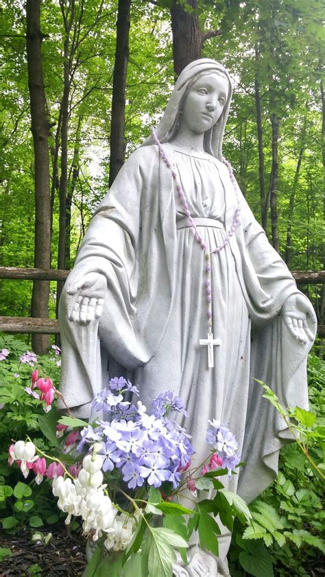 What Is A Virgin Mary Garden Its A Garden That Includes A Selection