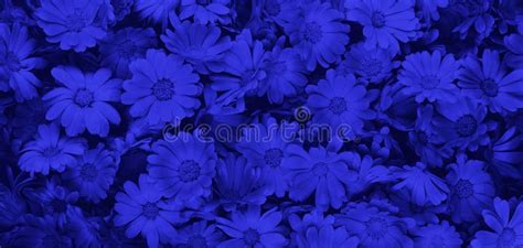 Classic Blue Floral Banner With Flowers Summer Blooming Design