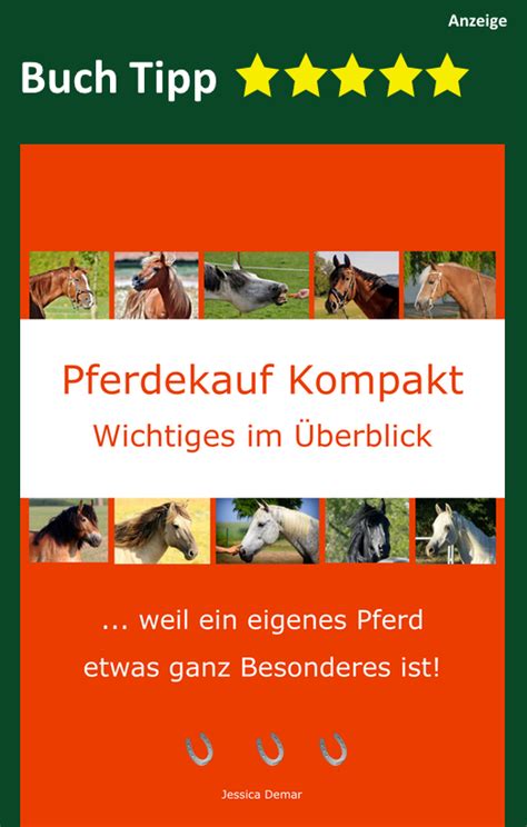 Pferde Tests Welches Pferd Passt Zu Mir