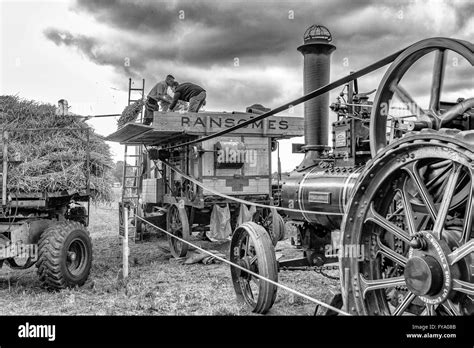 Threshing Machine Powered By A Steam Traction Engine Black And White