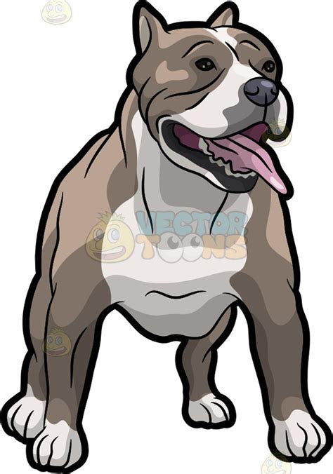 Pitbull Clipart at GetDrawings | Free download