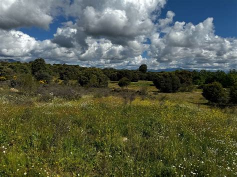 M S De Uno Sierra Pueblos En Verde La Herrer A Y Sus Rincones La