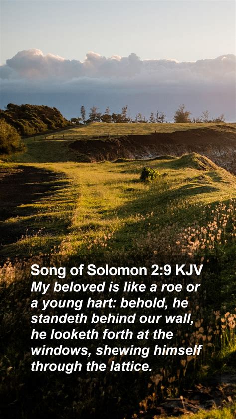 Song Of Solomon Kjv Mobile Phone Wallpaper My Beloved Is Like A