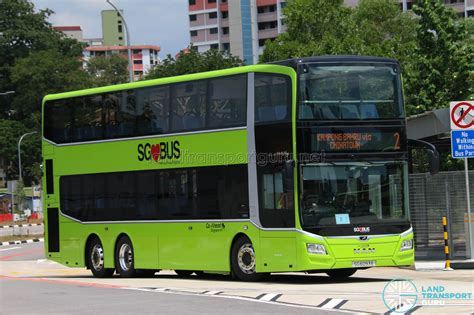 More MAN buses for Go-Ahead Singapore | Land Transport Guru