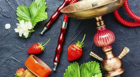 Lart De La Chicha Tout Savoir Sur La Chicha Tuyaux Humaginaire