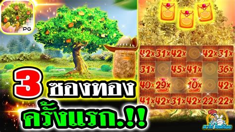 เกมสProsperity Fortune Tree 3ซองทองครงแรก Prosperity Fortune