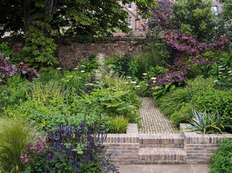 Planting for a dry and shady urban garden - Gardens Illustrated