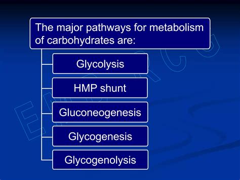 Carbohydrate Metabolism Minor Pathways Ppt