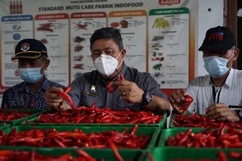 Jelang HBKN Kementan Optimis Stok Dan Harga Cabai Aman Hortikultura