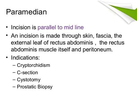 Abdominal Anatomy