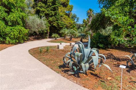 Botanical Garden at Lokrum Island Near Dubrovnik in Croatia Stock Image ...