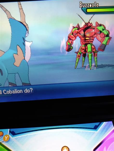 [7] Shiny Buzzwole came to square up after 55 SRs! : ShinyPokemon