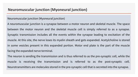 Neuromuscular Junction Myoneural Junction Ppt