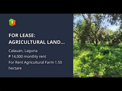 FOR LEASE AGRICULTURAL LAND With Fruit Bearing Trees YouTube