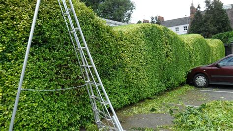 Worcester College Gardeners 2009 2018 Bringing The Waves Back To The