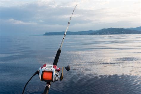 Electrifying Your Fishing Experience: 8 Advantages Electric Fishing ...