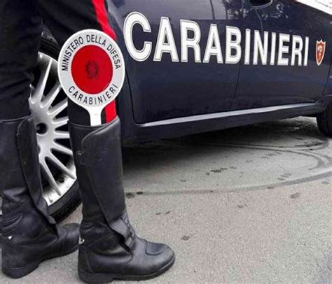 Aizza Il Cane Contro I Carabinieri Per Nascondere La Droga Arrestato